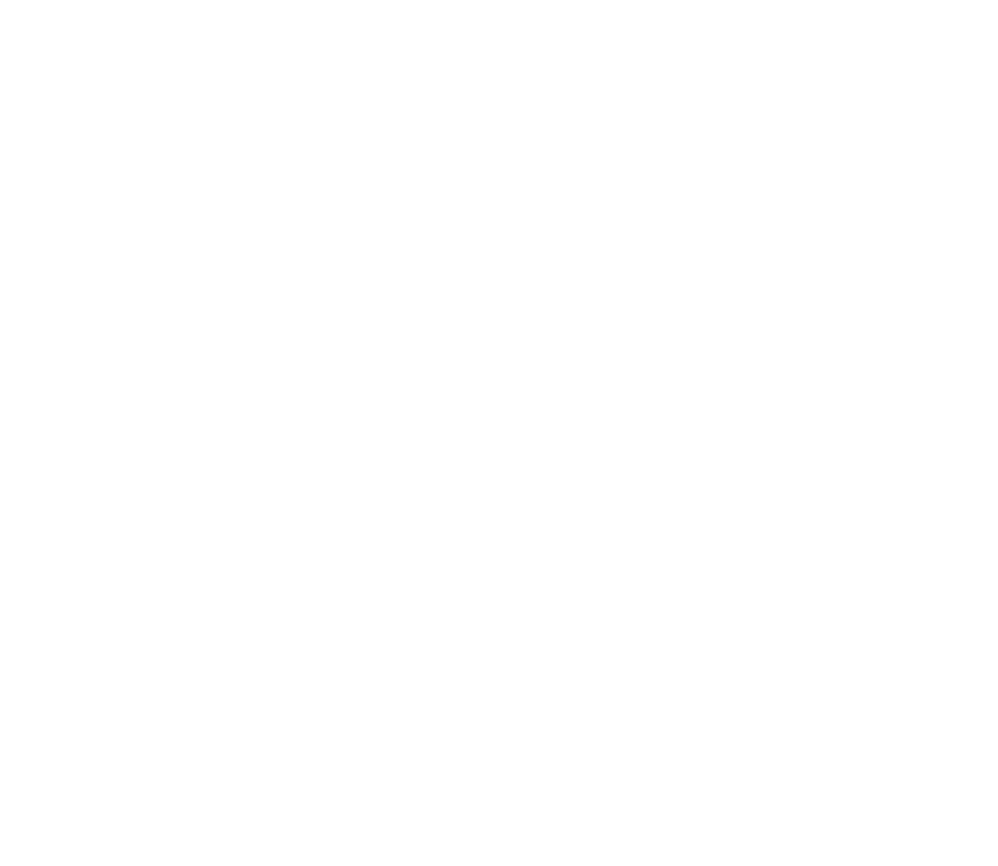 KS Logo White